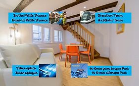Cosy & Quiet Flat In Historical Lively Center Of Strasbourg